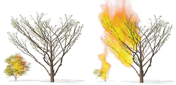 Wildfire simulation heats up