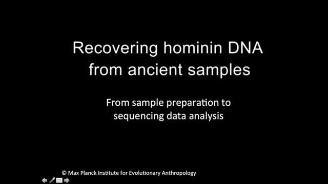 Ancient DNA Analysis Adds Chapter To The Stor | EurekAlert!