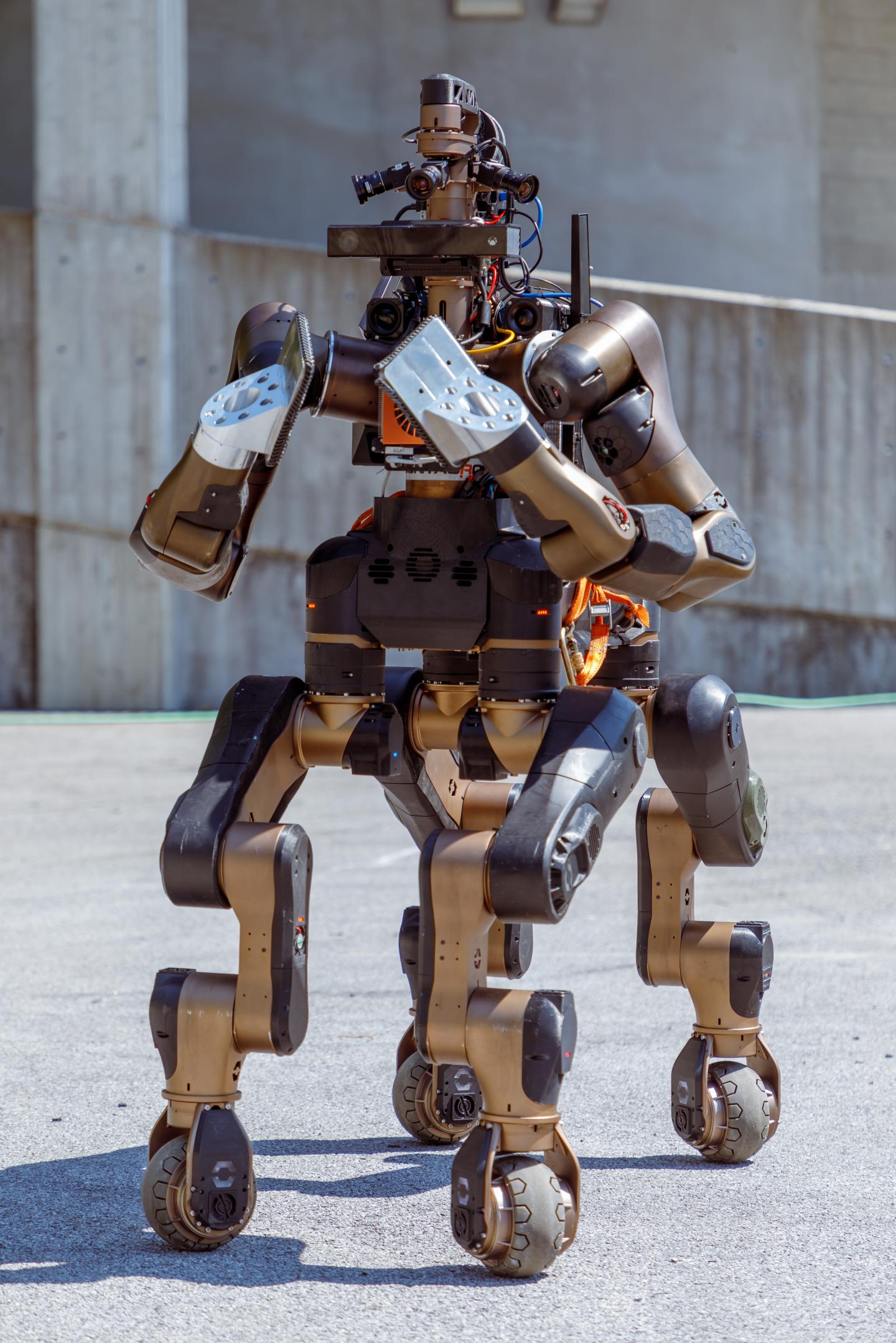 Centauro -- Whole Body