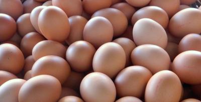 Diets Lacking Omega-3s Lead to Anxiety, Hyperactivity in Teens