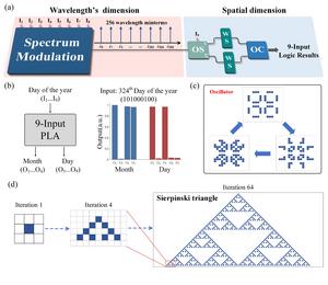 Demonstration and application of large-scale optical programmable logic array.