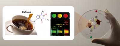 Caffeine Detection Kit