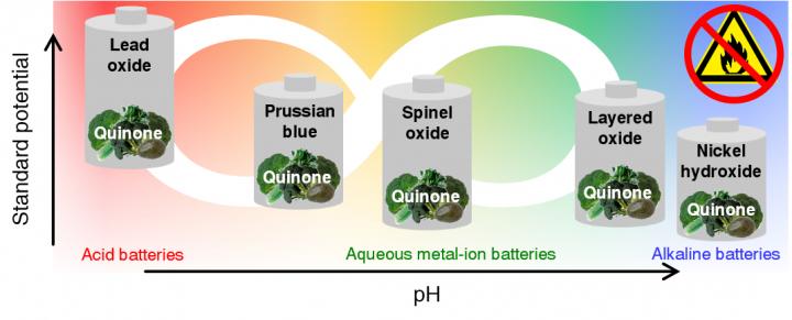New Anode for Aqueous Batteries