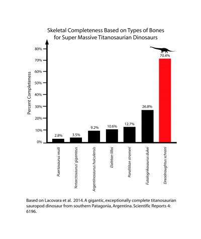 By Far the Most Complete Super Massive Dinosaur Skeleton