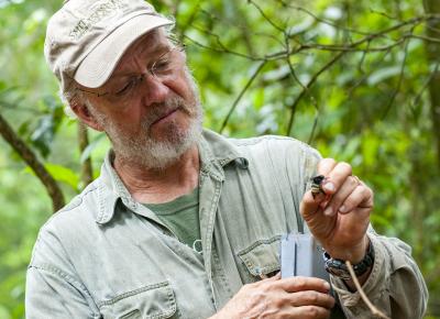 Dave Roubik, Smithsonian Tropical Research Institute