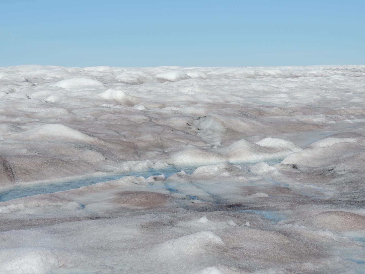 Surface ice of the Greenland Ice Sheet