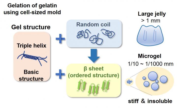 gelatin structure