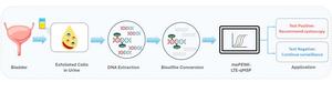 An illustrated outline of the EarlyTect Bladder Cancer Detection (mePENK-LTE-qMSP assay) and its clinical applications