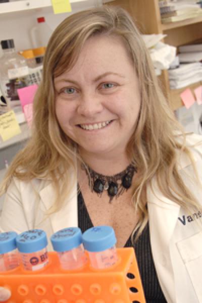 Dr. Vanessa Sperandio, UT Southwestern Medical Center