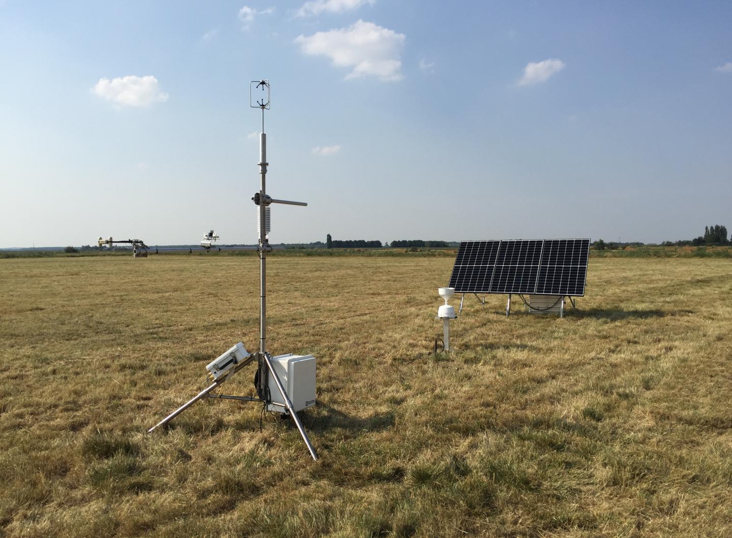 Measuring fluxes at drained grassland