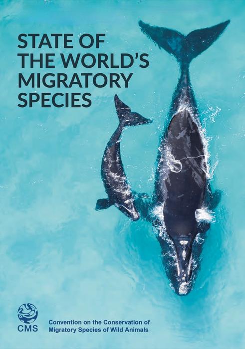 Cover of the first State of the World's Migratory Species report