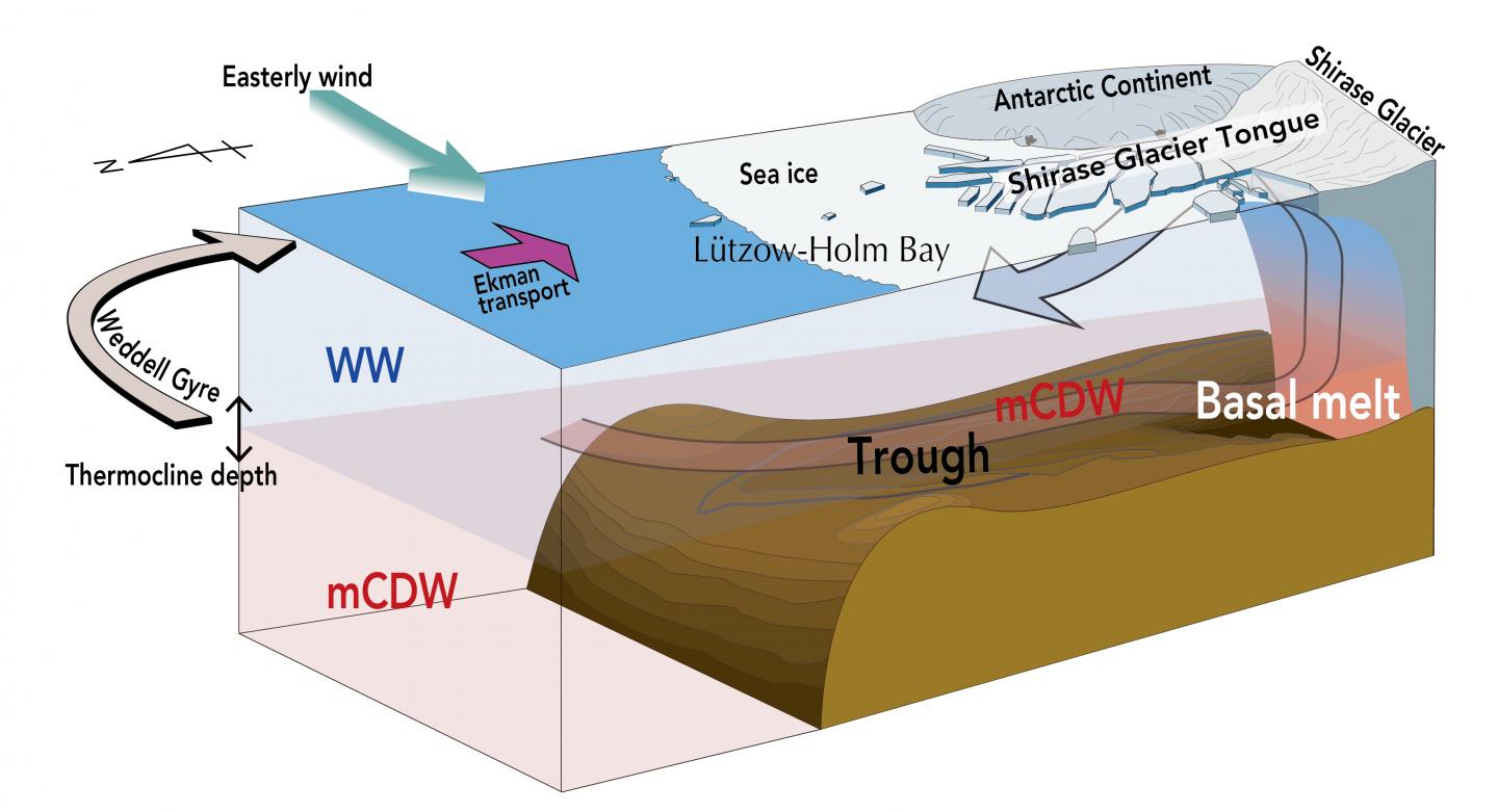 Model of the Factors Influencing Melting of the Shirase Glacier