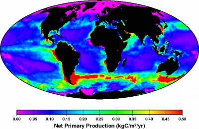 Global Distribution of Phytoplankton