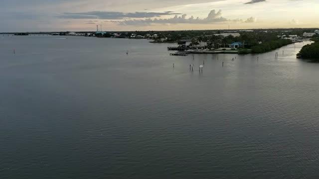 Uncovering the Mystery of Dolphins at Night