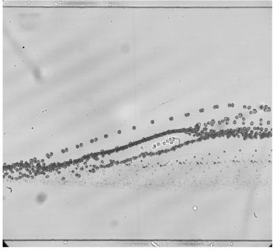 Beginning of Separation Stream