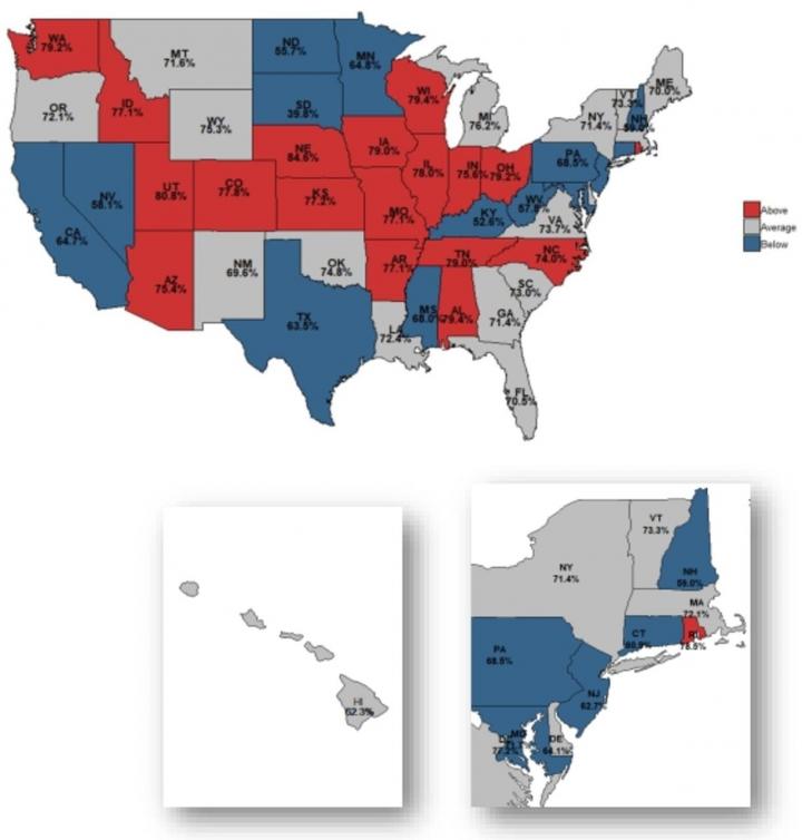 State Level Variation