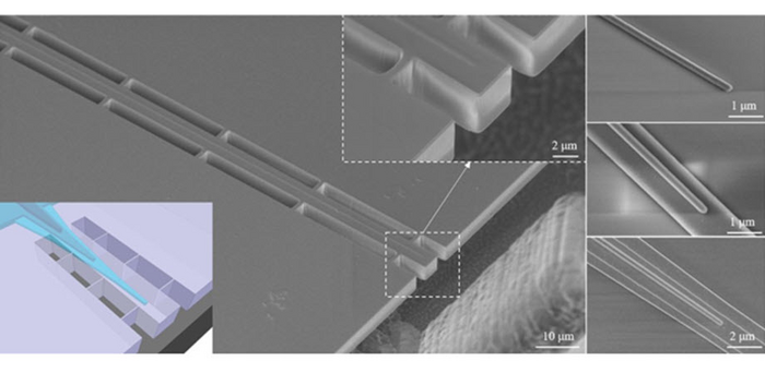 Three-dimensional structure of the X-cut edge coupler, consisting of a suspended SiO2 waveguide and a tri-layer SSC.