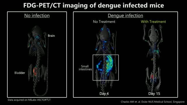 FDG-PET/CT Imaging of Dengue Infected Mice