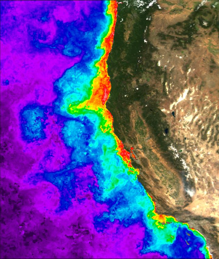 2015 Satellite Image