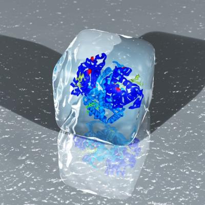 Structural Model of Mammoth Hemoglobin