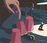 Mice 'detectives' hint at how humans read bet | EurekAlert!