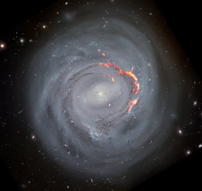 NGC4921: Imagen compuesta