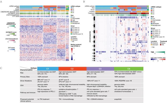 BGI Genomics New Classification of GISTs