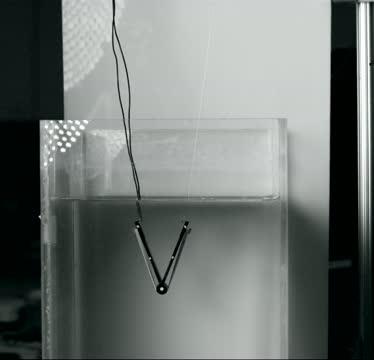 An Animal-Inspired Robot Jumps out of Water