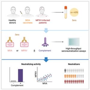 Summary of the main points of the study