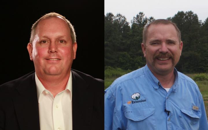 Thomas Mueller and Larry Steckel, University of Tennessee Institute of Agriculture