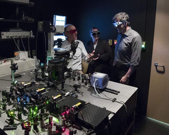 Homemade Microscope Reveals How Cancer-Causing Virus Clings to DNA