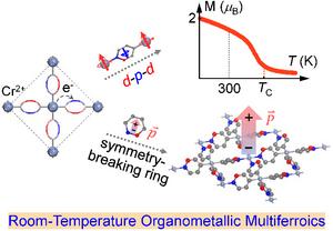 Scientists Propose Theoretical Design Strategy for Room-Temperature Metal-Organic Multiferroics