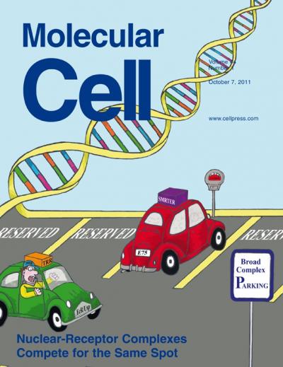 Johnston et al. -- <I>Molecular Cell</I>