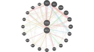 Two key genes, ATXN2L and MMP14, that are most strongly linked to both diseases