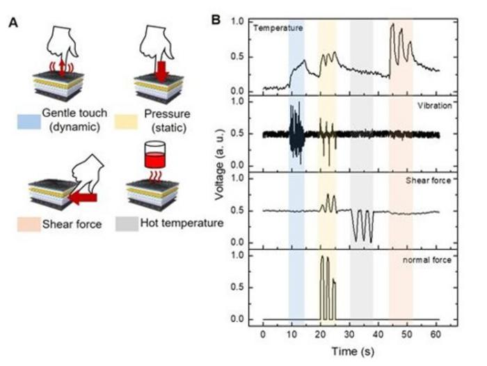 Outcome of the detection of multimodalsenses