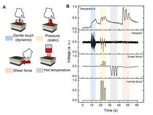 Outcome of the detection of multimodalsenses