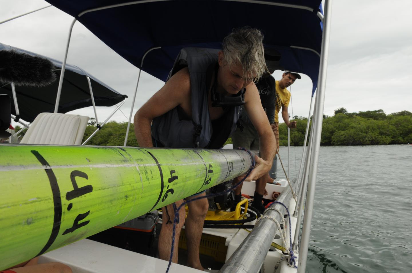 Aaron O'Dea, Smithsonian Tropical Research Institute