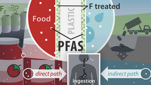 Researchers at the University of Notre Dame study high-density polyethylene (HDPE) plastic containers for PFAS