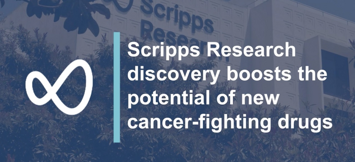 Scripps Research discovery boosts the potential of new cancer-fighting drugs