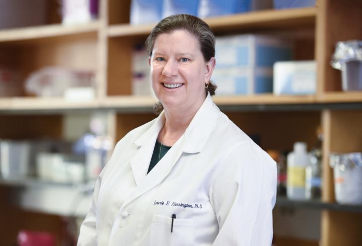 Laurie Harrington, University of Alabama at Birmingham 