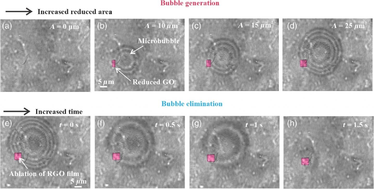 In Situ Optical Microscopic Images