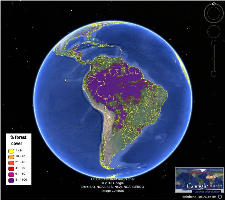 Hybrid Global Forest Map