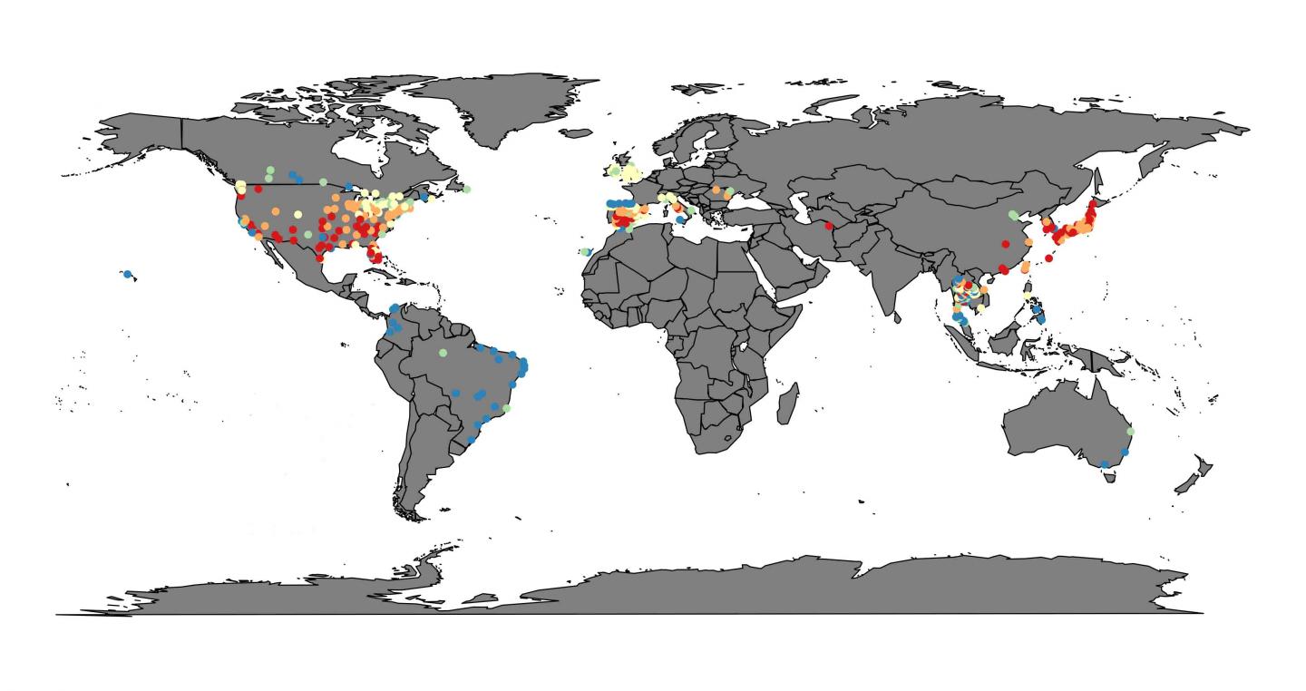 Heatwaves Recorded Across the World (Those Lasting Under 14 Days in Blue And Over 17 Days In Red)