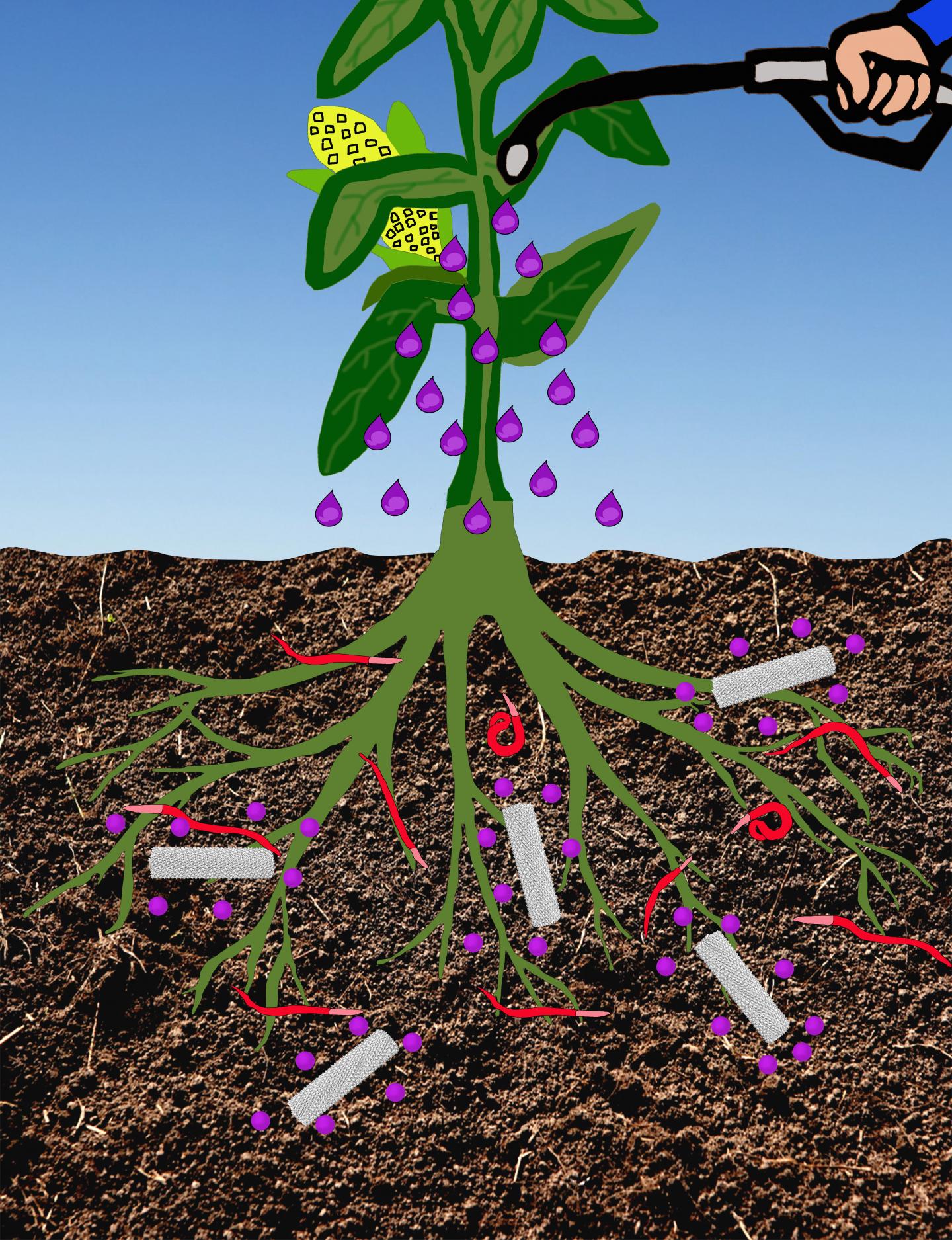 Nematicide-Carrying Plant Virus Nanopartilces Reacch Plant Roots