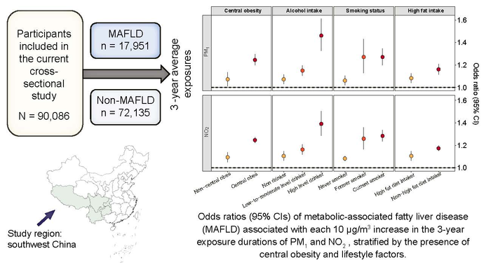 New study shows link between long-term exposure to air pollution and fatty liver disease