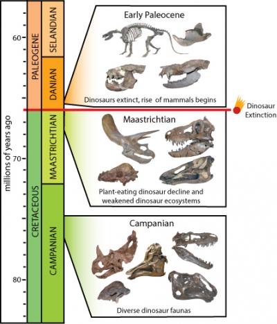 Dinosaur Timeline [IMAGE] | EurekAlert! Science News Releases