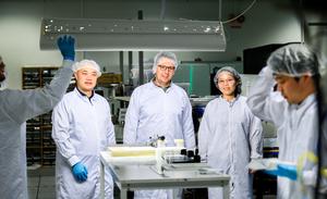 Researchers at the Laboratory of Organic Electronics