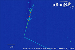 MicroBooNE electron shower and a proton track