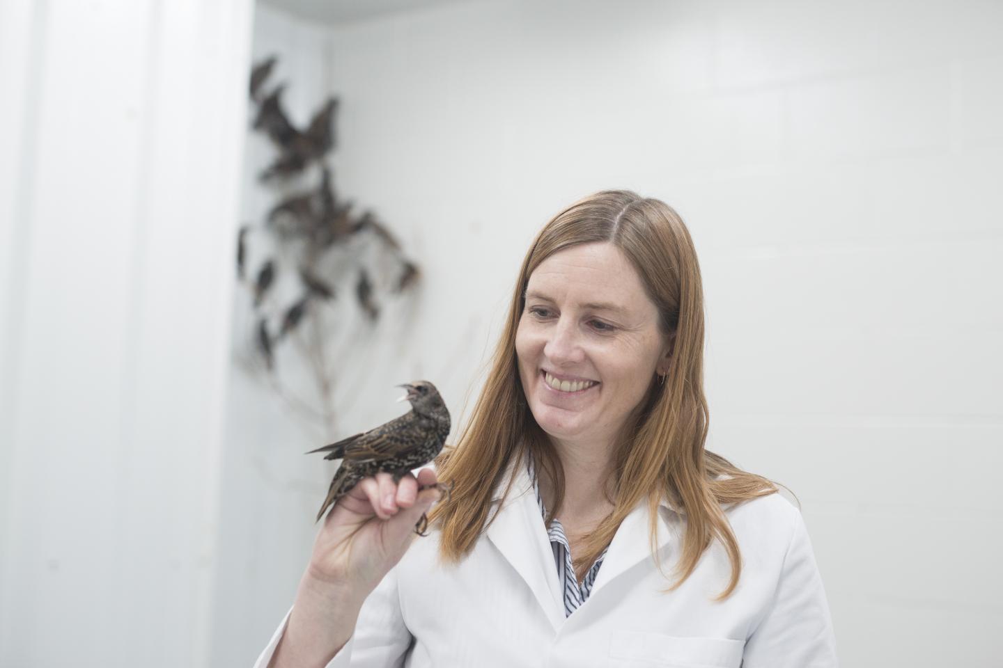 Christy Morrissey, University of Saskatchewan