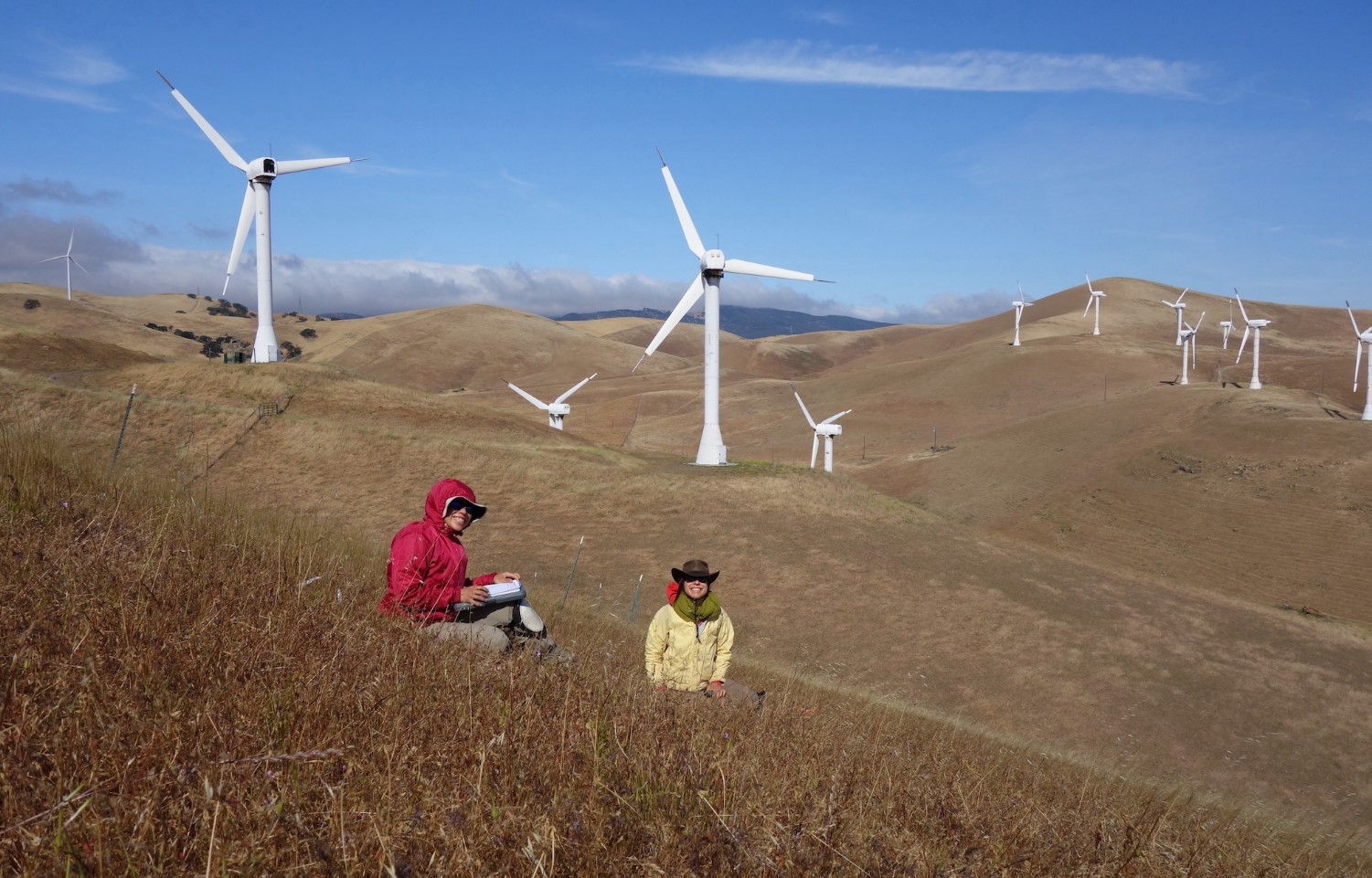 Plant ecologists in the field